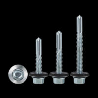 SDS SCREW